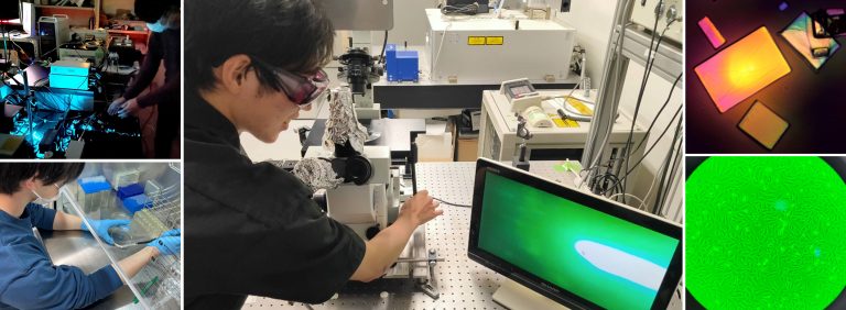 Welcome to Yoshikawa Lab (Molecular Photonics Area)